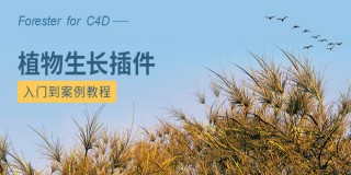 Forester for C4D植物生长插件完全教学