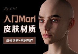 Mari4.7入门【补充6.0新功能】-ACES色彩流程皮肤材质制作案例