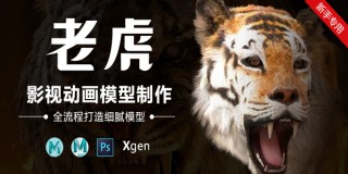 影视动画动物模型《老虎》全流程制作教程