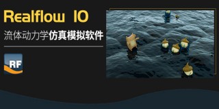 Realflow零基础快速就业实战篇【案例讲解】