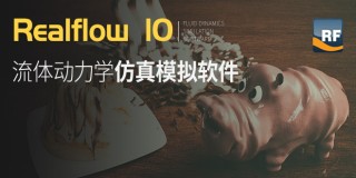 Realflow零基础快速就业实战篇【案例讲解】