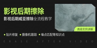 影视后期《威亚擦除》高级实例课程【实战讲解】