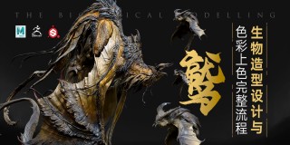 造型设计《鹫》造型上色完整流程【实名认证】