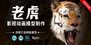 影视动画动物模型《老虎》全流程制作教程