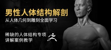 《男性人体结构解剖》 —— 骨骼,肌肉,人体从讲解到雕刻全系列教程