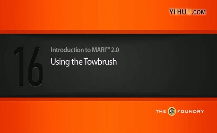 ʱ1616. Using the Towbrush
