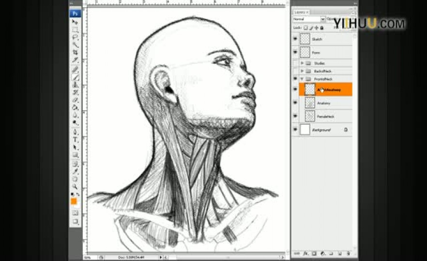 ʱ303.Drawing the neck