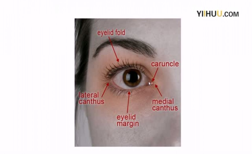 ʱ202_Examining_the_eye_area