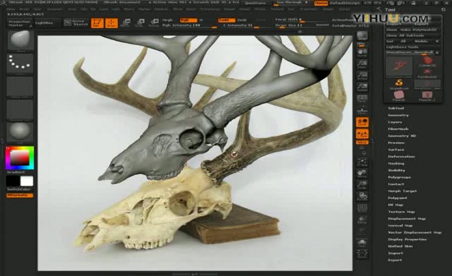 ʱ255255.Zbrushеͷǵ2