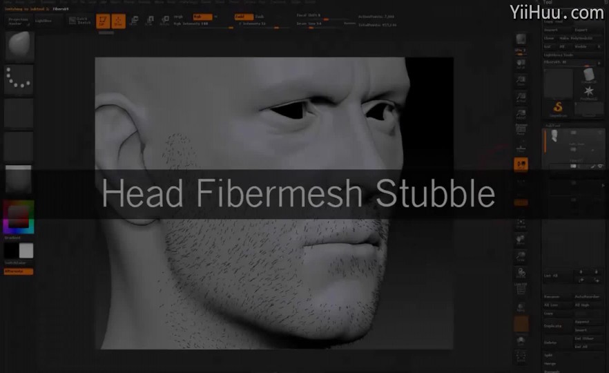 ʱ13ͷ-Fibermesh