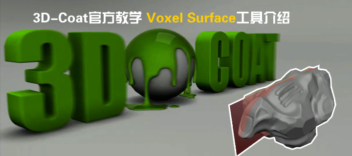3D-Coatٷѧ Voxel Surface߽