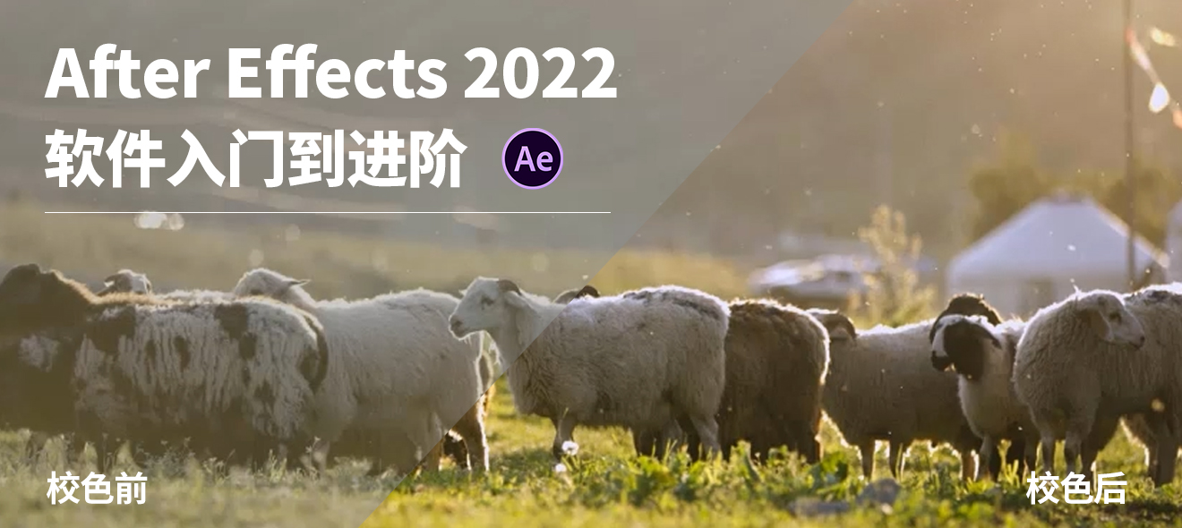 After Effects 2022 ŵ