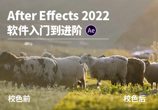 After Effects 2022 软件入门到进阶
